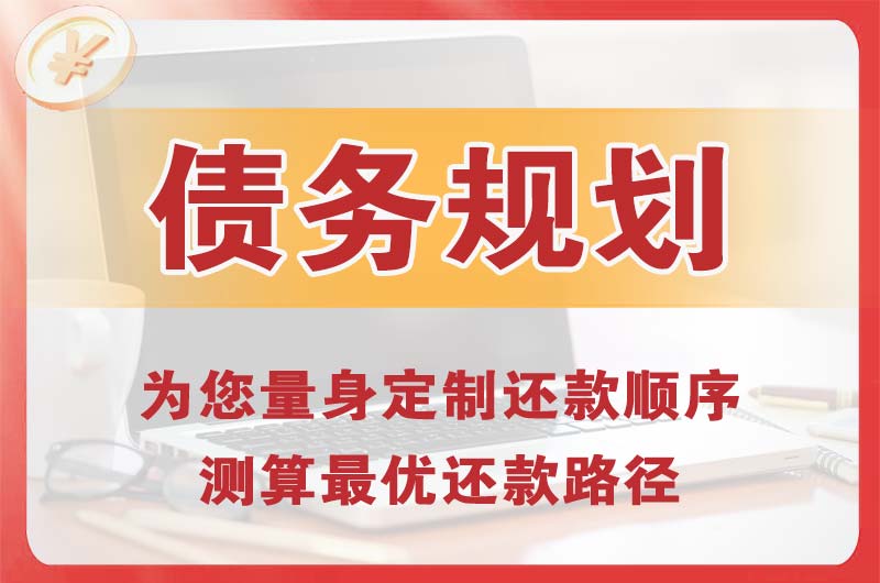 南充债务规划